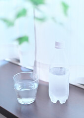 水とグリーン(植物)