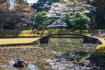 Foto op Plexiglas 日本の風景・春　東京都文京区　小石川後楽園の桜 © Yuta1127