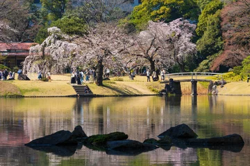 Poster 日本の風景・春　東京都文京区　小石川後楽園の桜 © Yuta1127