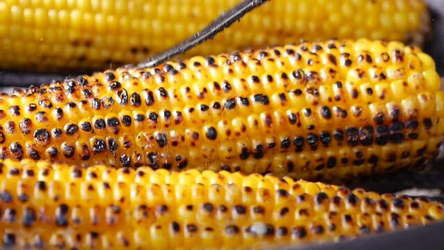 Close up of Grilled corn background 