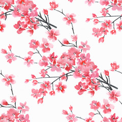 Seamless floral pattern. Branches of cherry blossoms on a white background.  - 754688026