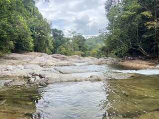 stream over on water fall in the forest