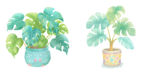 cute plant watercolour vector illustration 