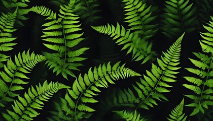 Green fern leaves in dark color background. Artistic Digital painting style. Generative AI