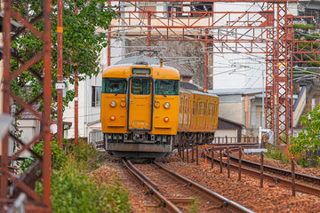 Naklejka premium キハ１１５