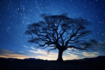 A beautiful night landscape with stars