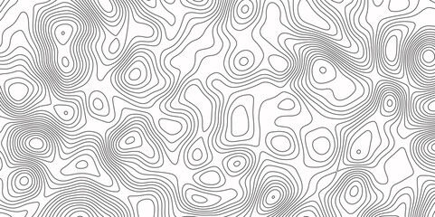 Fototapeta premium abstract white wave paper curved reliefs background. Vintage outdoors style. Geographic abstract grid. Geographic curved, vector illustration. seamless path isolated on a white background.