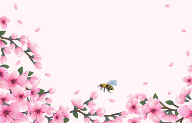 Fototapeta na wymiar hello spring background with cheery blossom flowers