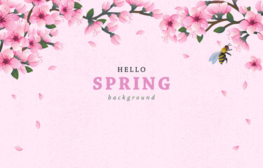 hello spring background with cheery blossom flowers