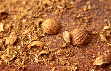 Sesame seeds on the crust of bread. Macro
