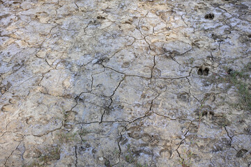 Dried and cracked ground soil in the drought. Drought is a prolonged dry period in the natural...