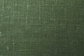 Texture of green fabric as background, top view