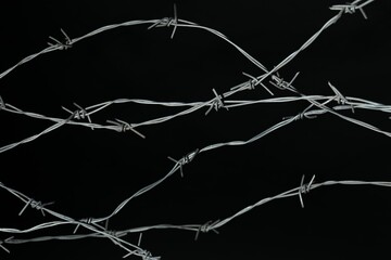 Shiny metal barbed wire on black background