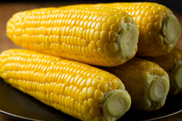 トウモロコシ