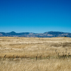 landscape with blue sky USA.