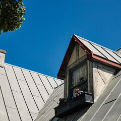 roof and windows