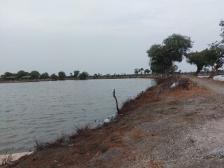 beautiful view of a fish pond or shrimp pond (tambak) and trees with blue sky background