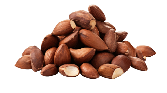 heap of brazil nuts isolated on a white background