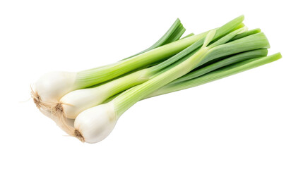 leek  isolated  on white  background