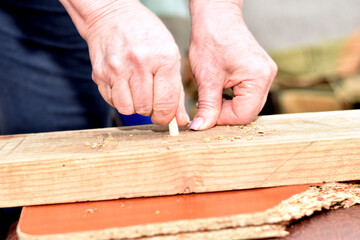 A woman's hand inserts a furniture dowel into the hole.