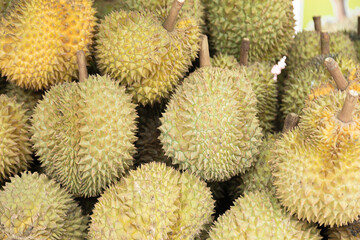 Durian, the king of fruits in Thailand with a sweet
