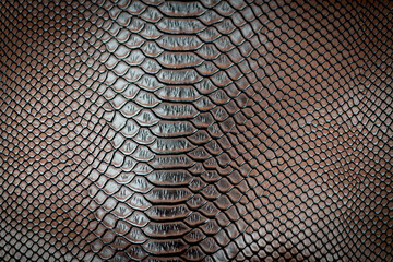 Brown snake skin texture pattern can see the surface details.