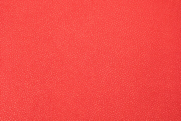 Close-up of red leather show detail and texture
