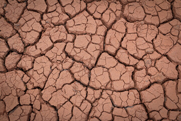 The red soil is cracked and cracked from drought and pollution.