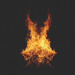 Fire flame vector on transparent background. Abstract fiery vector graphic illustration of flame on transparent background. 