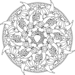 Fruit plate coloring page. 