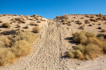 Pathway in California