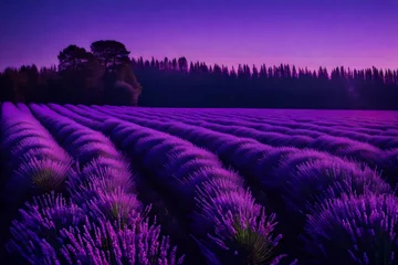 Schilderijen op glas lavender field in region © MB Khan