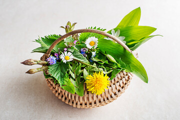 Spring food plants - 754758666