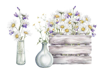 Watercolor bouquet of white blossom flowers chamomile and violet bluebell in white gray wooden box. Daisy in glass jar and box with wooden boards . Hand drawn illustration isolated on background