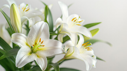 Fototapeta na wymiar Elegant white lilies with copy space on a light background, ideal for spring themes, Mother's Day, or wedding invitations
