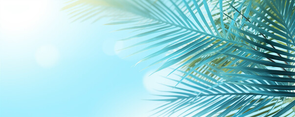 Tropical palm leaf banner with sunbeam for vibrant vacation background