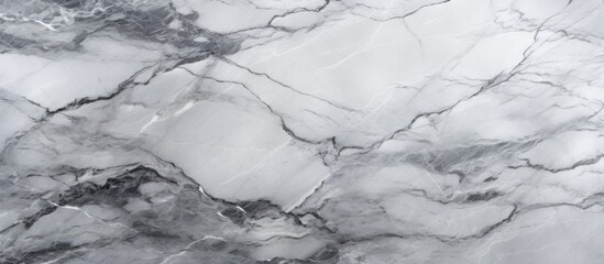 Obraz premium A grayscale abstract texture featuring the intricate patterns of natural marble. The black and white hues create a visually striking background suitable for various design projects.
