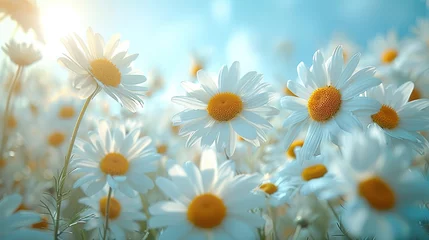 Foto op Canvas Field of daisies in good weather. Generative Ai.  © zorandim75