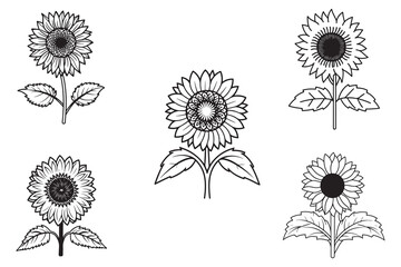 Sunflower Outline Vector On White Background
