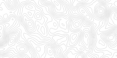 White wave paper curved reliefs abstract background. The topographic map contour in lines isolated. Abstract white topographic map background with lines. Background of the topography map.