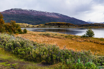 Tierra del Fuego National Park, Patagonia, Argentina