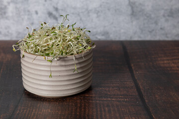 Bowl of fresh, organic alfalfa sprouts on a wooden table. Copy space to the right.