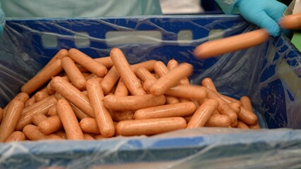 Worker at a meat processing plant producing sausages. Packing sausages in a box, close-up. Sausages...