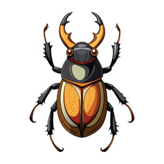 Rhinoceros beetle illustration on white background
