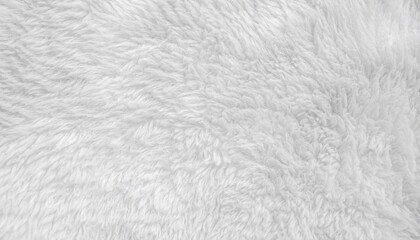 White clean wool texture background. light natural sheep wool. white seamless cotton. texture of fluffy fur for designers. close-up fragment white wool carpet.