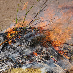 Bright flames consume the remnants of a bonfire.