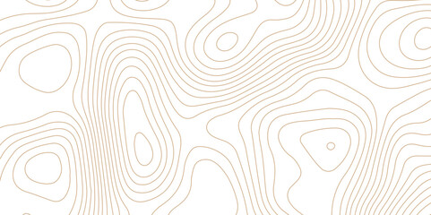 Topographic map background geographic line map pattern .panorama view light brown color wave curve lines .geographic mountain relief abstract grid .the concept map of a conditional geography map . - obrazy, fototapety, plakaty