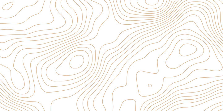 Topographic map background geographic line map pattern .panorama view light brown color wave curve lines .geographic mountain relief abstract grid .the concept map of a conditional geography map .