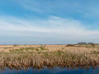 Nature reserve Reevediep, Flevoland province, The Netherlands || Natuurgebied Reevediep