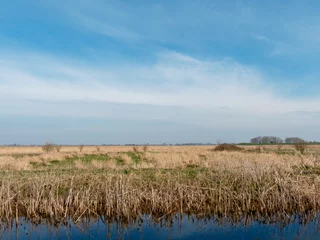 Fototapeten Nature reserve Reevediep, Flevoland province, The Netherlands    Natuurgebied Reevediep © Holland-PhotostockNL